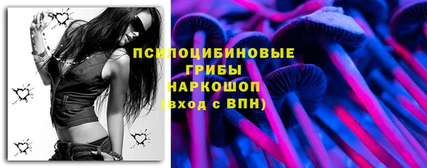 PSILOCYBIN Алзамай