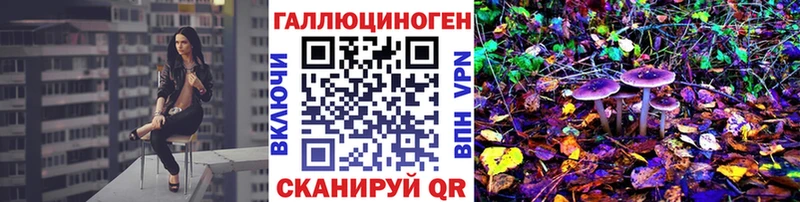 Псилоцибиновые грибы GOLDEN TEACHER  Неман 