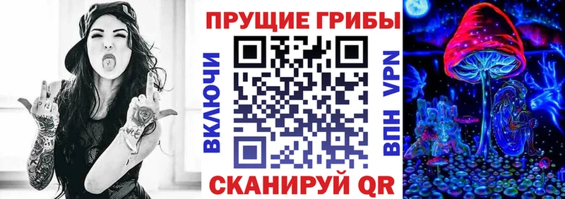 Псилоцибиновые грибы Cubensis Неман